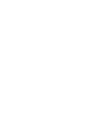 CSS